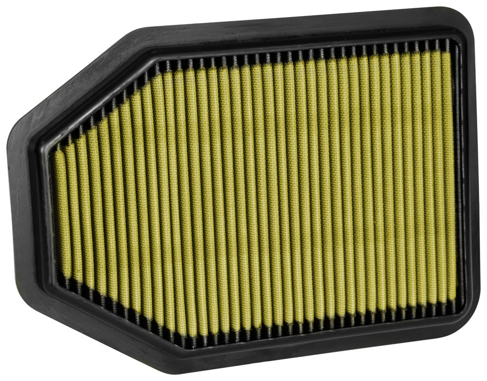 MicroGard MGA49018 air filter