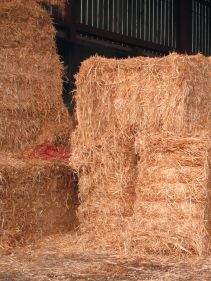 Bale Choppers - Feeders, Kverneland 852, made for working with straw, carry two bales in one go, easy loading of bales