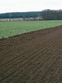 Kverneland Ecomat, tills soil efficient from 10-18cm. Increases quality in soil preparation and more economical