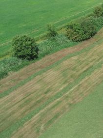 Four Rotor Rakes - VICON ANDEX 1304 PRO, super efficient in use during field operation with ISOBUS option