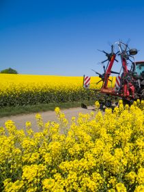 mounted tedders - VICON FANEX 554-684-764-904-1124, Central adjustment for border spreading keeping the crop inside the field.