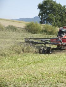 Single Rotor Rakes - VICON ANDEX 424-464, ProLine Gearbox technology for efficient performance