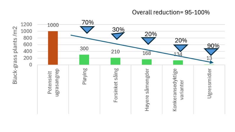 Black Grass graph