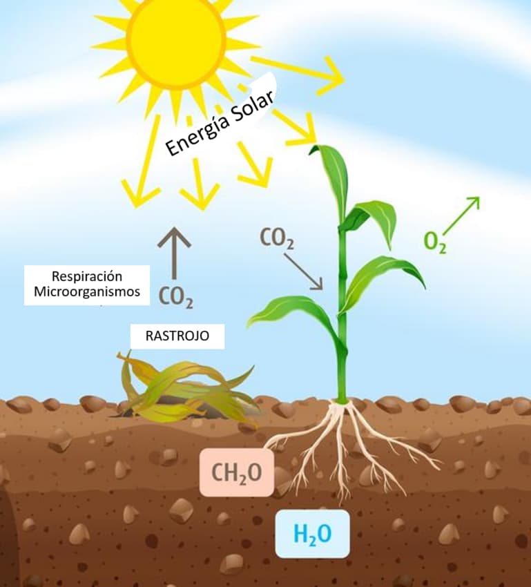 CO2 emissions and Ploughing - plant image