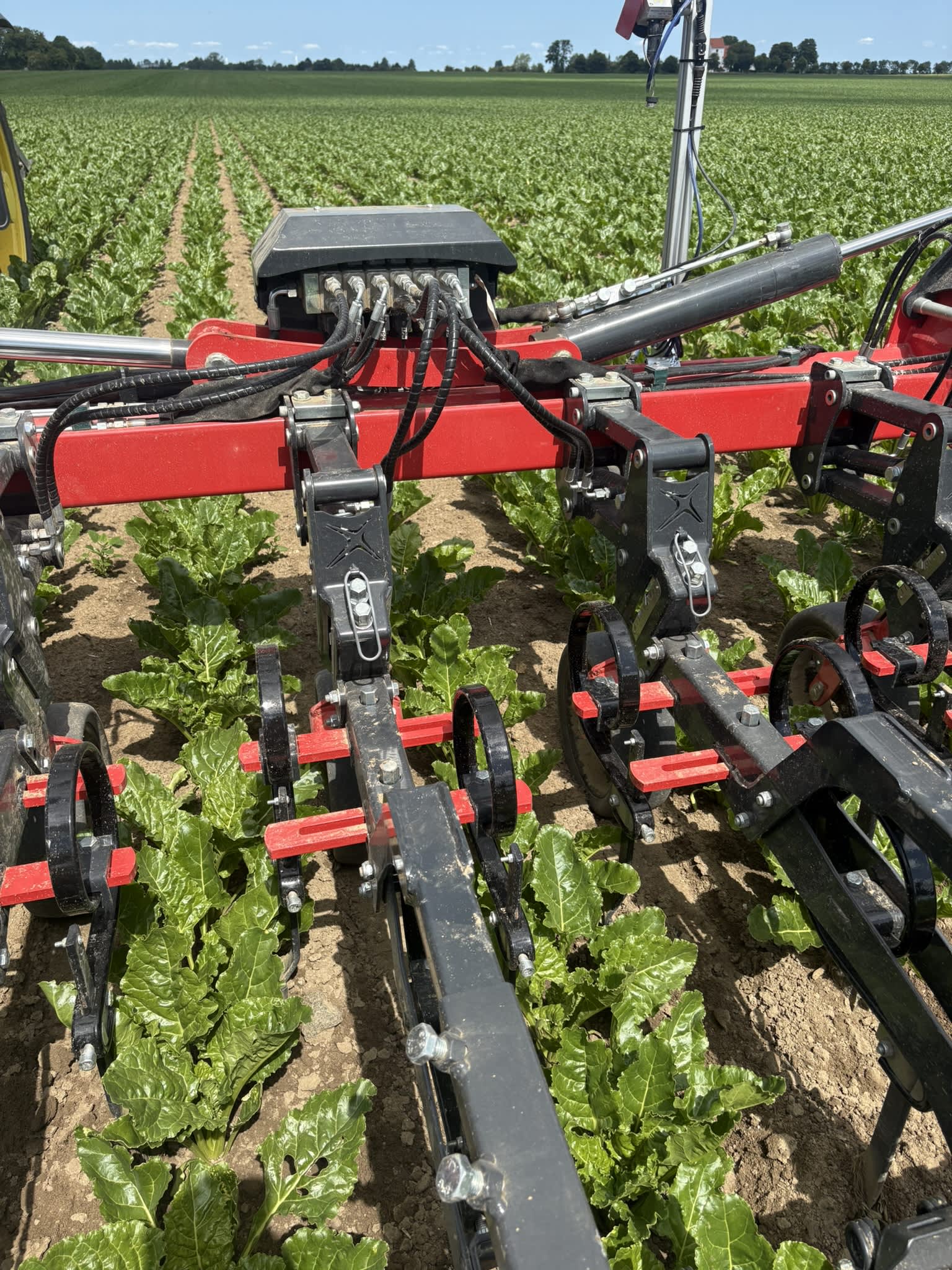Kverneland Onyx 3064 inter-row cultivator working in sugar beet rows in western Jutland, Denmark.