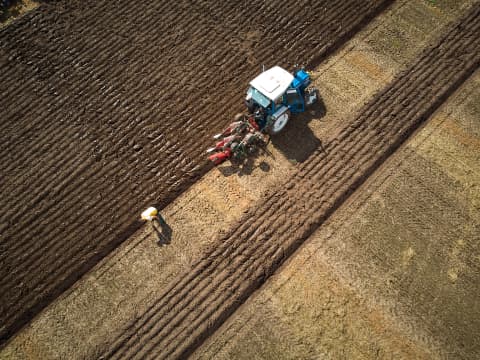 Judge measuring in ploughing competition