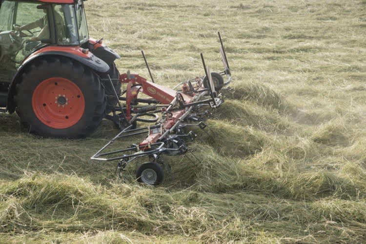 Night Swathing