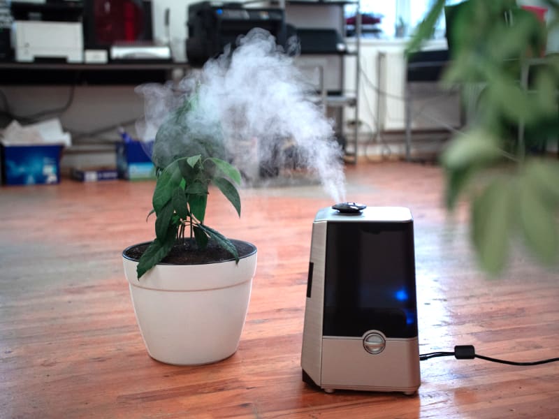 Best Air Purifiers For Allergies And Pets