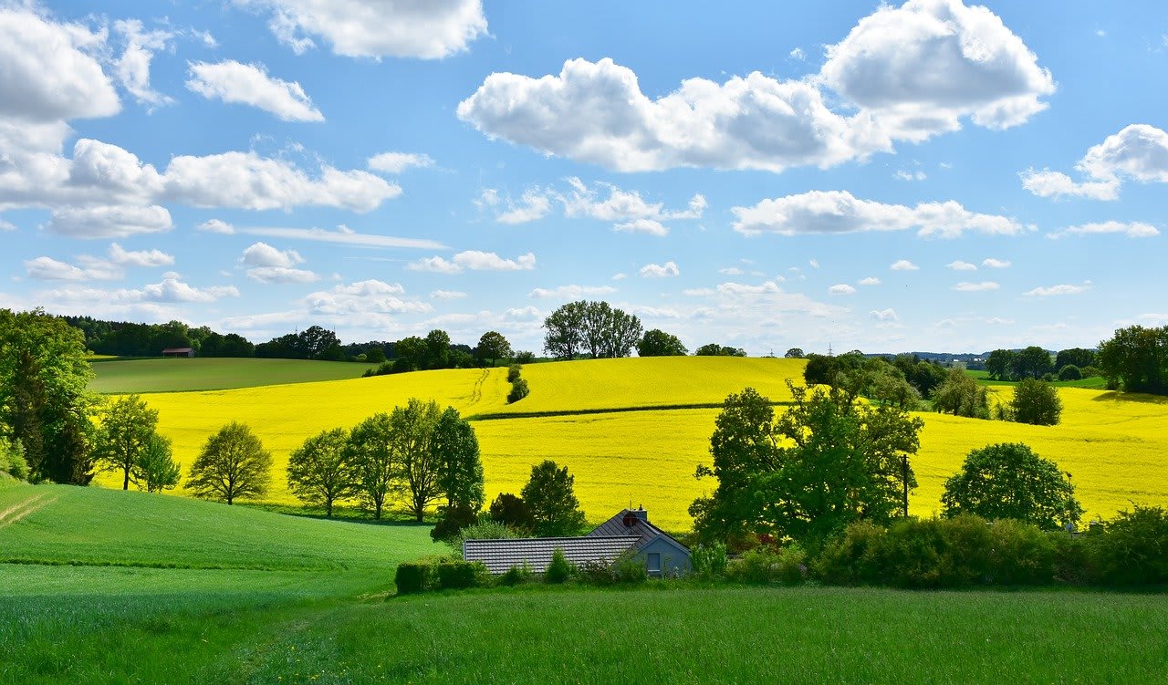 giornata di sole splendente con nuvole in cielo e pascolo verde di alberi