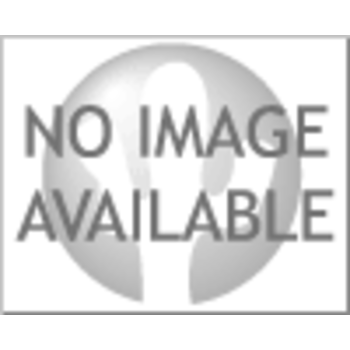 Stemdrive Bracket Casted 1994 (D309)