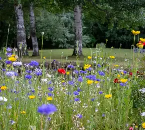 Pharmacie à vendre dans le département Allier sur Ouipharma.fr