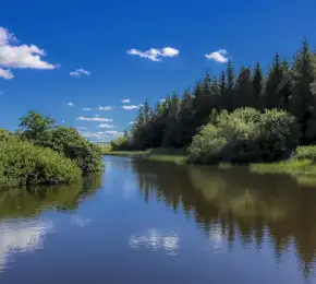 Pharmacie à vendre dans le département Haute-Saône sur Ouipharma.fr