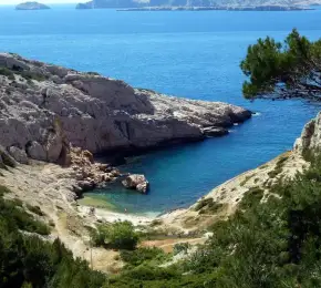 Pharmacie à vendre dans le département Bouches-du-Rhône sur Ouipharma.fr