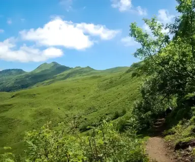 Image pharmacie dans le département Cantal sur Ouipharma.fr