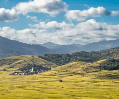 Image pharmacie dans le département Haute-Saône sur Ouipharma.fr