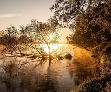 Image pharmacie dans le département Charente sur Ouipharma.fr