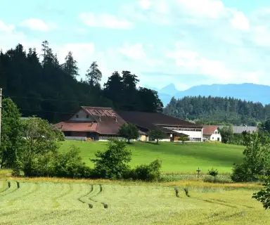 Image pharmacie dans le département Vienne sur Ouipharma.fr