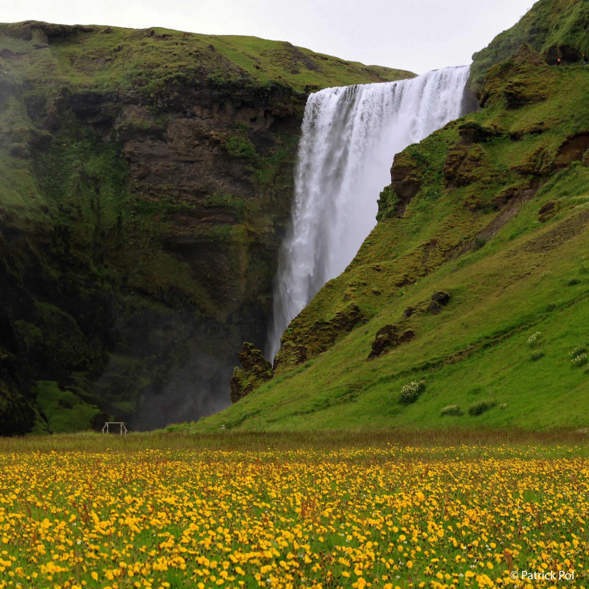 Skogafoss in summer