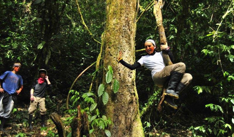 cusco to amazon rainforest tour