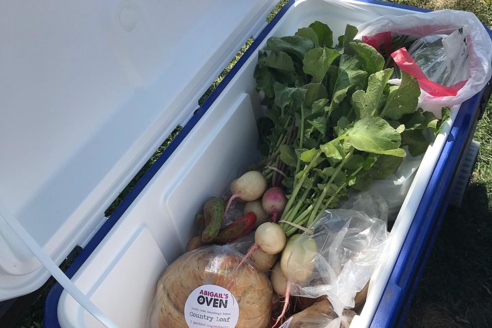 Discover Ways to Reduce Food Waste While Supporting a Food Rescue Program 