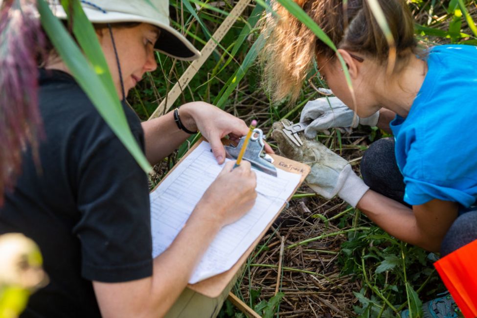 Become a Citizen Scientist and Monitor Environmental Changes