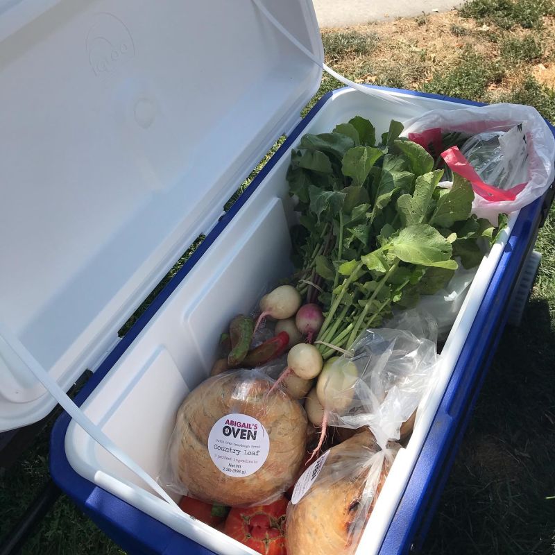 Discover Ways to Reduce Food Waste While Supporting a Food Rescue Program 