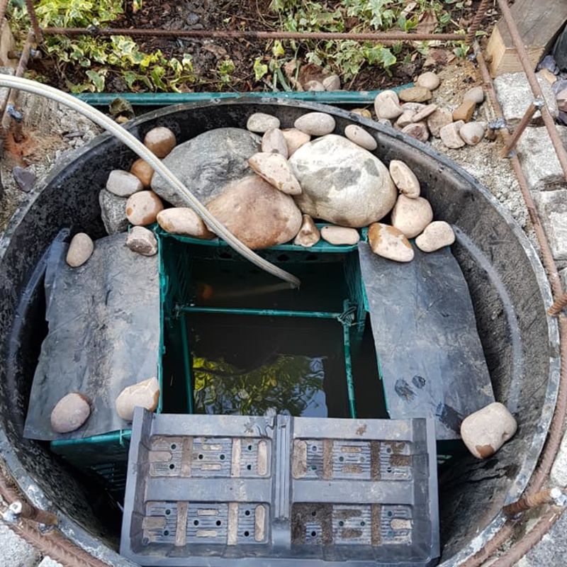 Discover Water Saving Techniques Through a Virtual Garden Tour