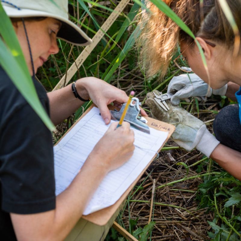 Become a Citizen Scientist and Monitor Environmental Changes