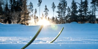Skid-VM 2025: TV-Tider, Streaming, Schema och Svenska Truppen
