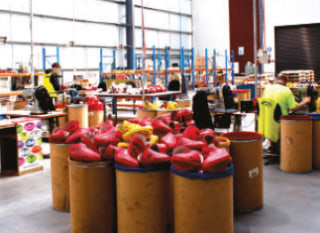 New Factory