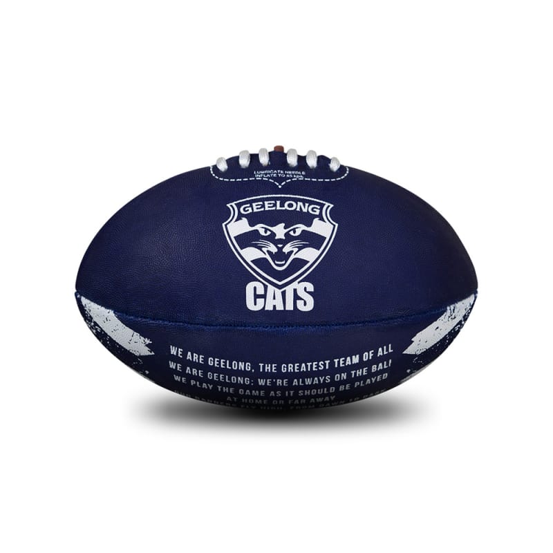 New WT Geelong Cats Official AFL Football footy Pencil Case Name Insert 21x14 cm 