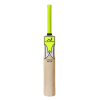 Woodworm Glowworm Fizz Cricket Bat