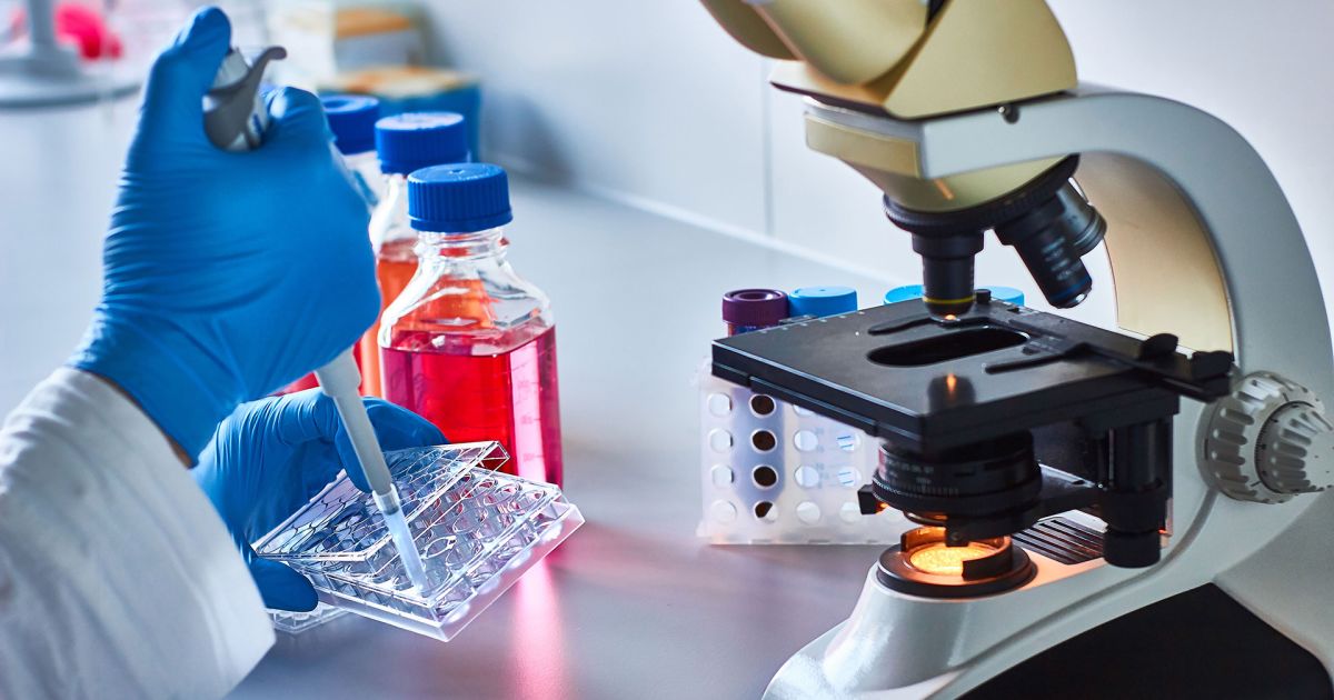 Treatment Options for Chronic Lymphocytic Leukemia