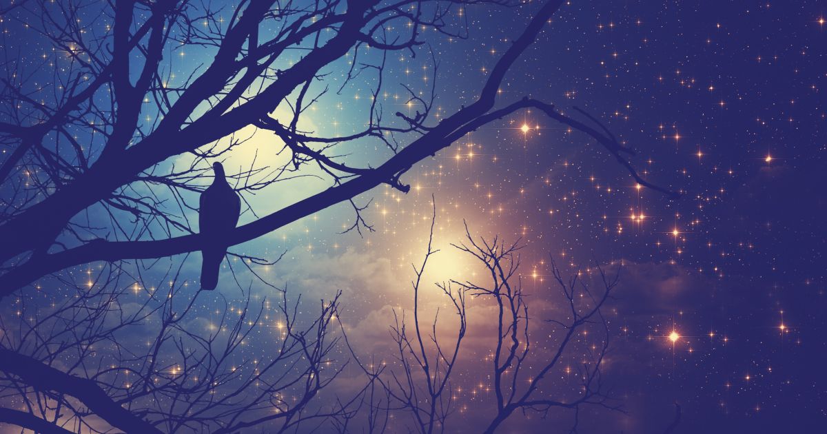 Fall Asleep Fast With These 3 Sleeping Tips Sharecare