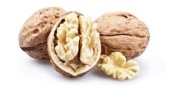 walnut, walnuts