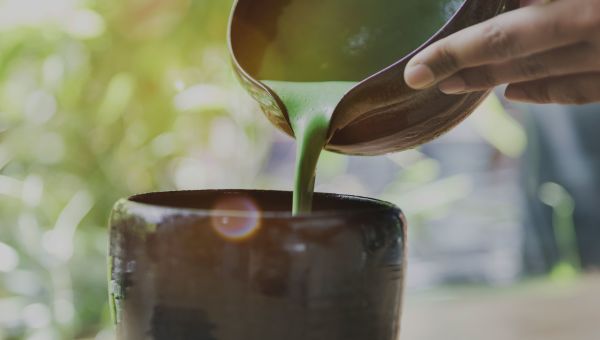 woman pouring cup of matcha tea