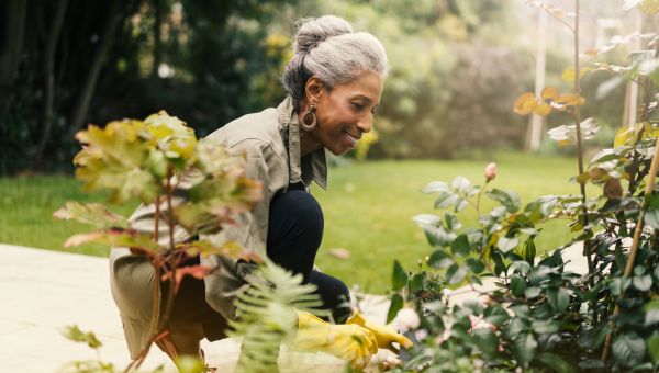 Senior woman planting flowers in her garden