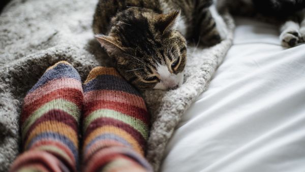 Woman wearing socks on bed with cat