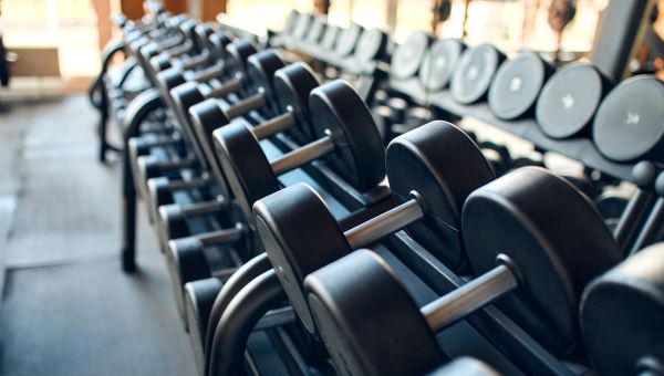 A row of dumbbells lined up in a gym.