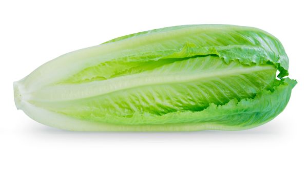 romaine lettuce