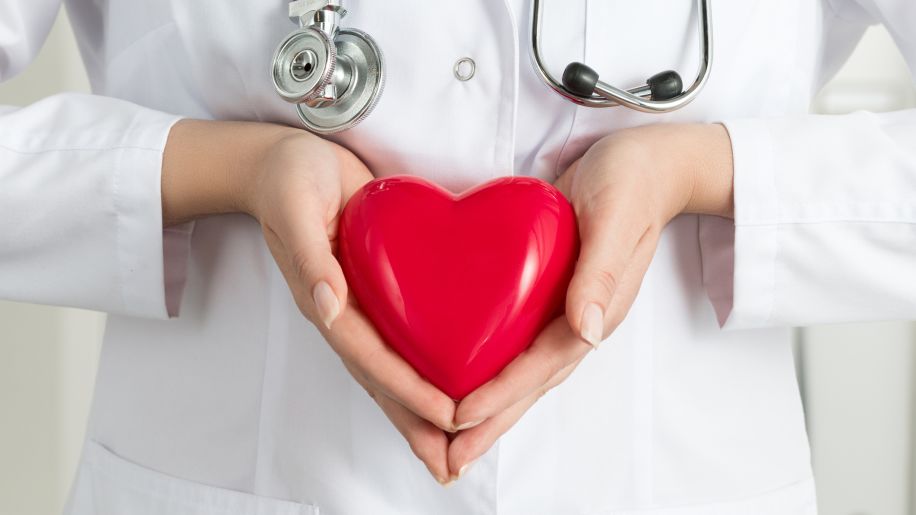 doctor holding plastic red heart