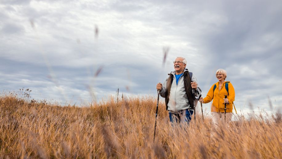 senior couple nordic walking in a field