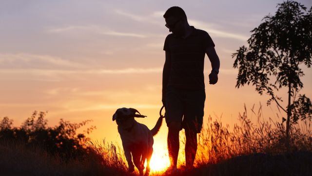 man walking at sunset with dog