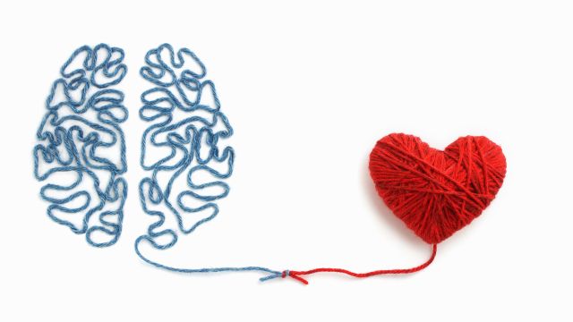 Yarn shaped as brain and heart