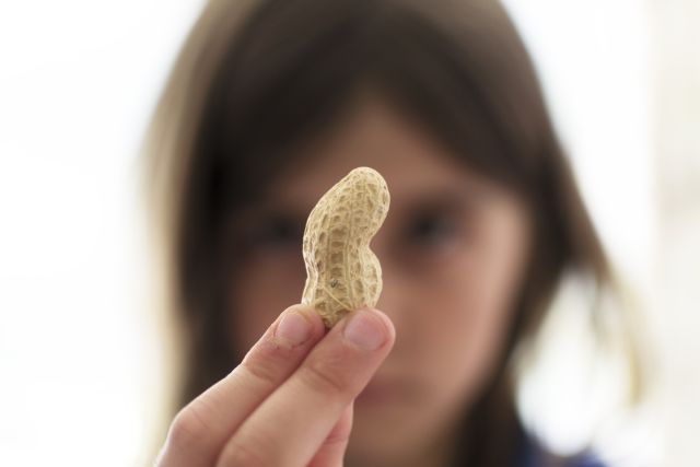 A child holds a peanut. Immediate peanut allergy treatment is needed for severe peanut allergies—as symptoms can be deadly.