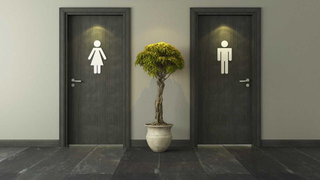 A women’s and men’s restroom doors. What causes you to urinate a lot? Learn about common overactive bladder causes. 