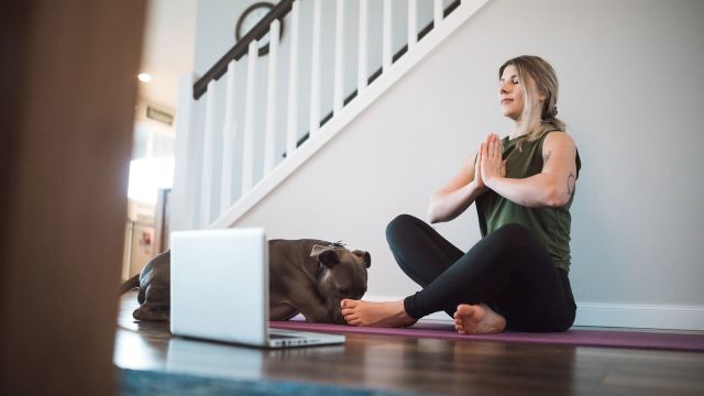 cool woman meditating at home with laptop and dog 