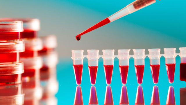 blood analysis pipette