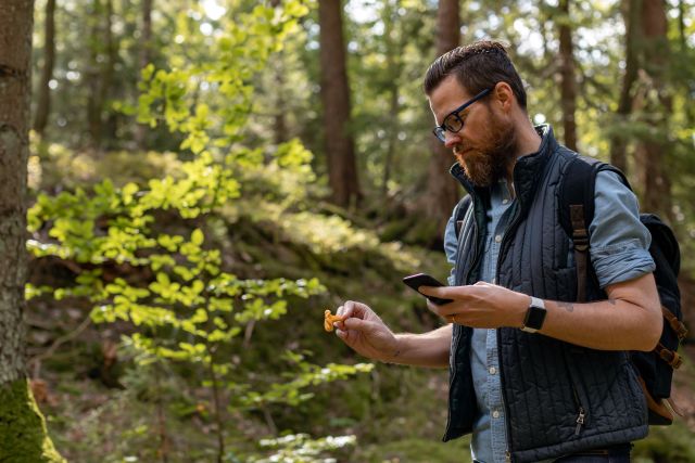 a rugged, bearded Swedish man discovers a wild mushroom in the woods