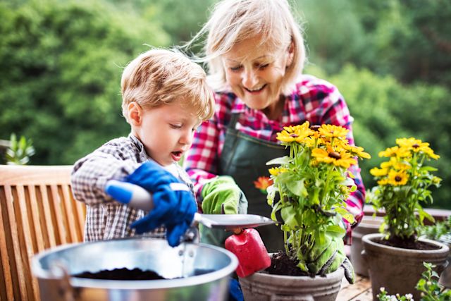 senior woman gardening